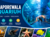 Taraporewala Aquarium Mumbai – A Fascinating Underwater World