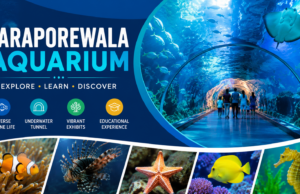 Taraporewala Aquarium Mumbai – A Fascinating Underwater World