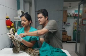 26 Year Old Rescued 10,000+ Animals