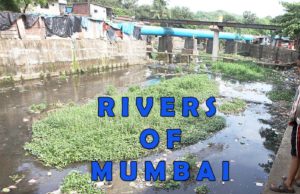 Rivers of Mumbai