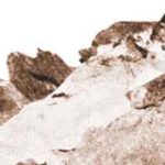 samyukta-bandu-gokhale