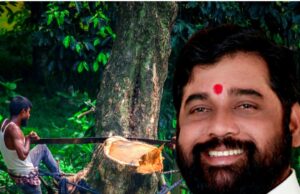 Maharashtra Govt To Bring Back Metro Car Shed Back To Aarey