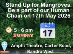 Human Chain To Save Mangroves in Mumbai on 17th May 2026