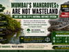 Mumbai’s Mangroves Are The City’s Natural Defence System – 45000 Will Be Destroyed