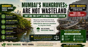 Mumbai’s Mangroves Are The City’s Natural Defence System – 45000 Will Be Destroyed