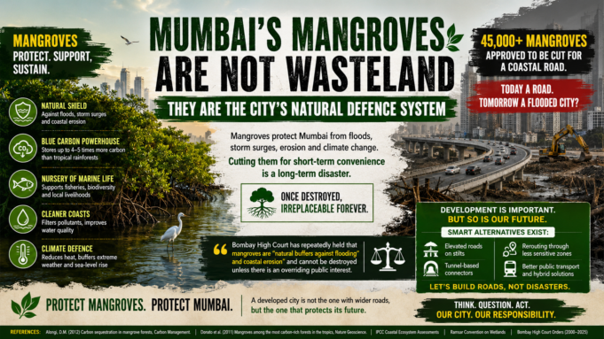 Mumbai’s Mangroves Are The City’s Natural Defence System – 45000 Will Be Destroyed